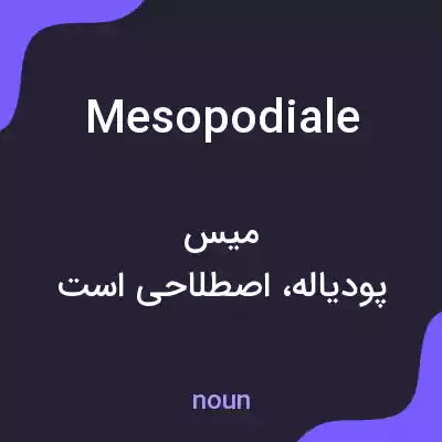 معنی mesopodiale به فارسی معنی mesopodiale به فارسی