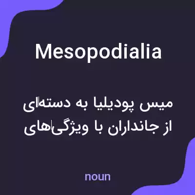 معنی mesopodialia به فارسی معنی mesopodialia به فارسی