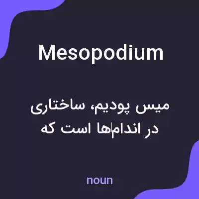 معنی mesopodium به فارسی معنی mesopodium به فارسی