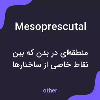 معنی mesoprescutal به فارسی معنی mesoprescutal به فارسی
