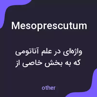 معنی mesoprescutum به فارسی معنی mesoprescutum به فارسی