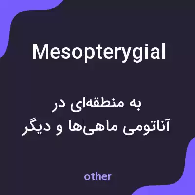 معنی mesopterygial به فارسی معنی mesopterygial به فارسی