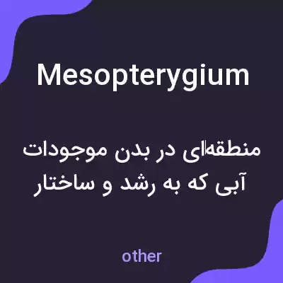 معنی mesopterygium به فارسی معنی mesopterygium به فارسی