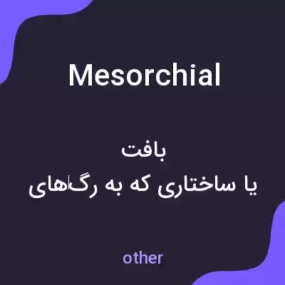معنی mesorchial به فارسی معنی mesorchial به فارسی