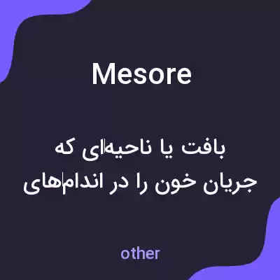 معنی mesore به فارسی معنی mesore به فارسی