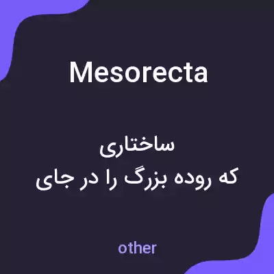 معنی mesorecta به فارسی معنی mesorecta به فارسی