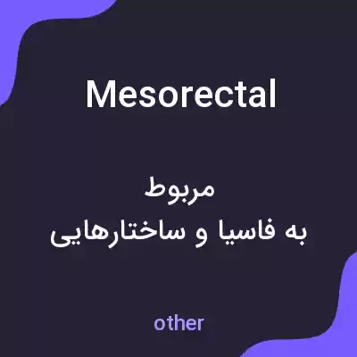 معنی mesorectal به فارسی معنی mesorectal به فارسی