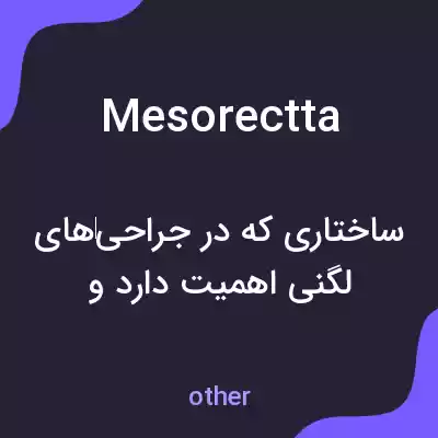 معنی mesorectta به فارسی معنی mesorectta به فارسی