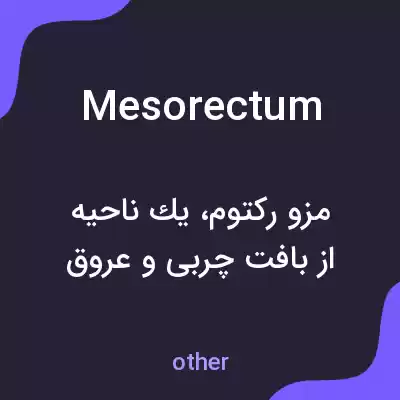 معنی mesorectum به فارسی معنی mesorectum به فارسی