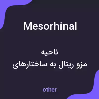 معنی mesorhinal به فارسی معنی mesorhinal به فارسی