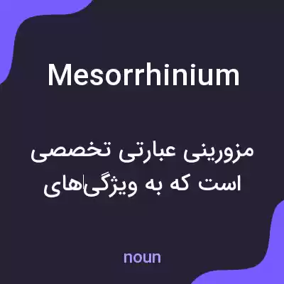 معنی mesorrhinium به فارسی معنی mesorrhinium به فارسی