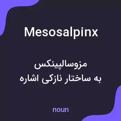 معنی mesosalpinx به فارسی معنی mesosalpinx به فارسی