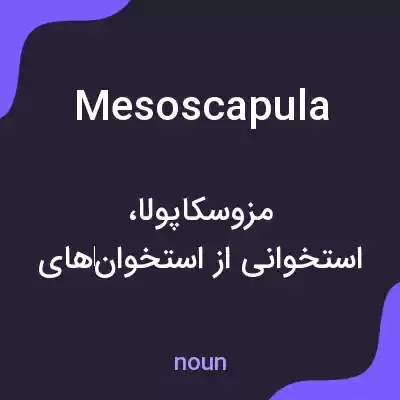 معنی mesoscapula به فارسی معنی mesoscapula به فارسی