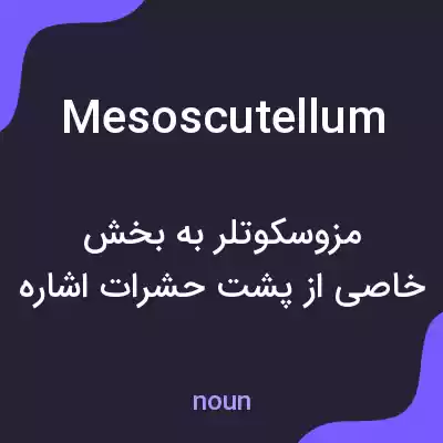 معنی mesoscutellum به فارسی معنی mesoscutellum به فارسی