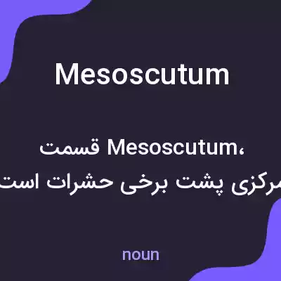 معنی mesoscutum به فارسی معنی mesoscutum به فارسی