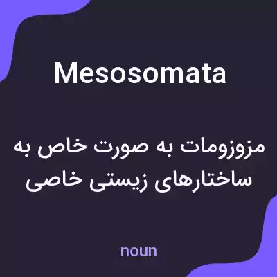 معنی mesosomata به فارسی