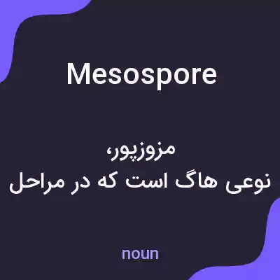معنی mesospore به فارسی معنی mesospore به فارسی