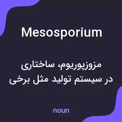 معنی mesosporium به فارسی معنی mesosporium به فارسی