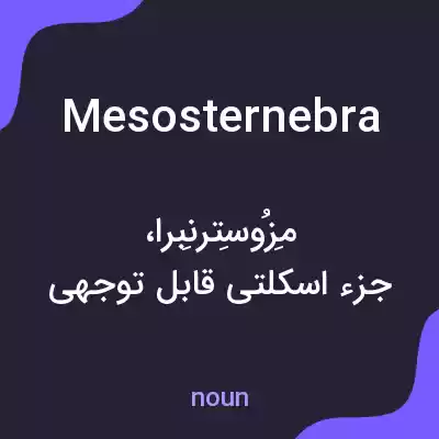 معنی mesosternebra به فارسی معنی mesosternebra به فارسی