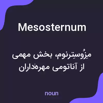 معنی mesosternum به فارسی معنی mesosternum به فارسی