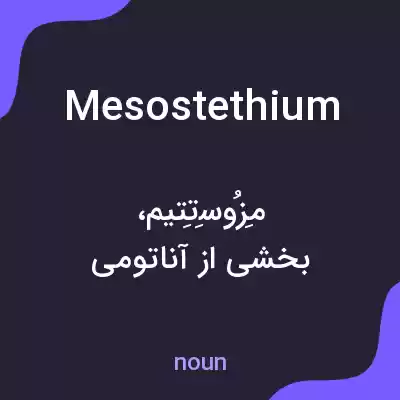 معنی mesostethium به فارسی معنی mesostethium به فارسی