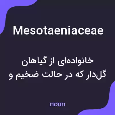 معنی mesotaeniaceae به فارسی معنی mesotaeniaceae به فارسی