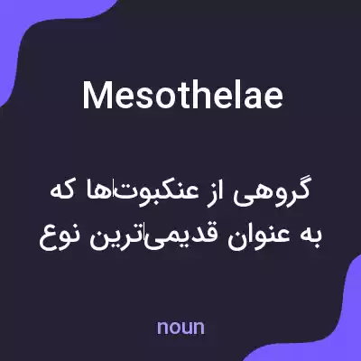معنی mesothelae به فارسی معنی mesothelae به فارسی