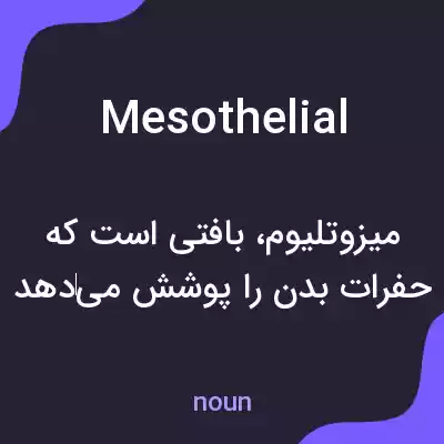 معنی mesothelial به فارسی معنی mesothelial به فارسی