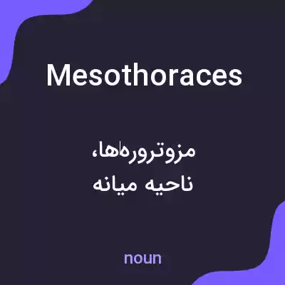 معنی mesothoraces به فارسی معنی mesothoraces به فارسی