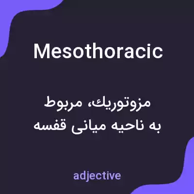 معنی mesothoracic به فارسی معنی mesothoracic به فارسی