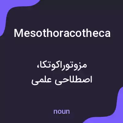 معنی mesothoracotheca به فارسی معنی mesothoracotheca به فارسی