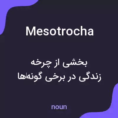 معنی mesotrocha به فارسی معنی mesotrocha به فارسی
