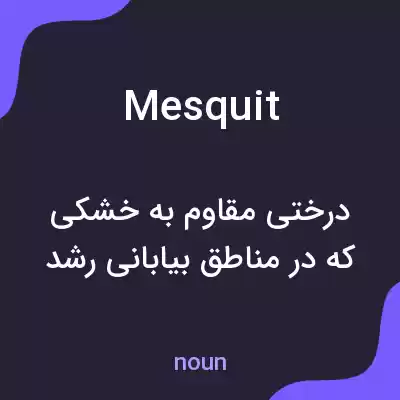 معنی mesquit به فارسی