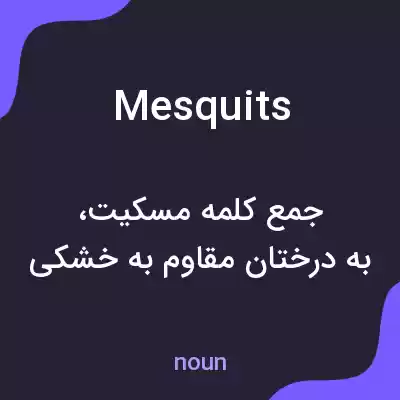 معنی mesquits به فارسی معنی mesquits به فارسی