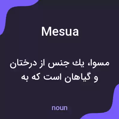 معنی mesua به فارسی معنی mesua به فارسی