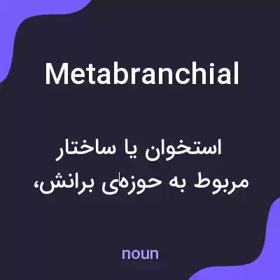 معنی metabranchial به فارسی معنی metabranchial به فارسی
