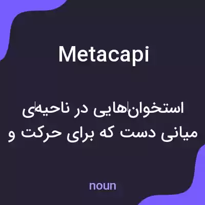 معنی metacapi به فارسی معنی metacapi به فارسی
