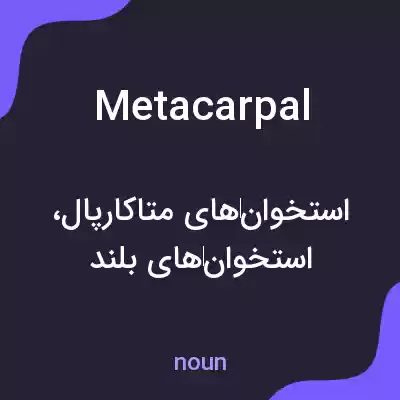 معنی metacarpal به فارسی معنی metacarpal به فارسی