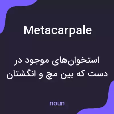 معنی metacarpale به فارسی معنی metacarpale به فارسی