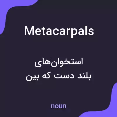 معنی metacarpals به فارسی معنی metacarpals به فارسی