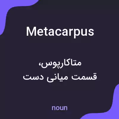 معنی metacarpus به فارسی معنی metacarpus به فارسی