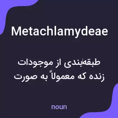معنی metachlamydeae به فارسی معنی metachlamydeae به فارسی