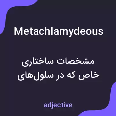 معنی metachlamydeous به فارسی معنی metachlamydeous به فارسی