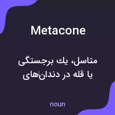 معنی metacone به فارسی معنی metacone به فارسی