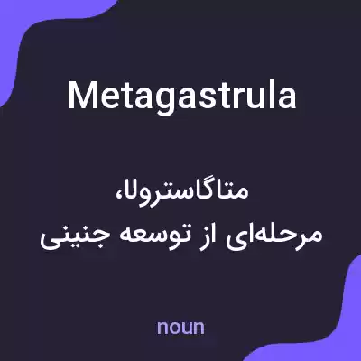 معنی metagastrula به فارسی معنی metagastrula به فارسی