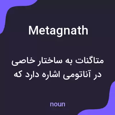 معنی metagnath به فارسی معنی metagnath به فارسی