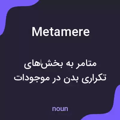 معنی metamere به فارسی معنی metamere به فارسی