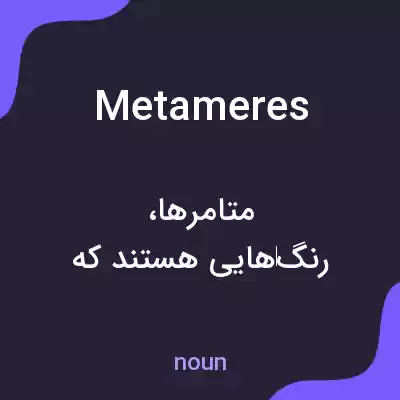 معنی metameres به فارسی معنی metameres به فارسی