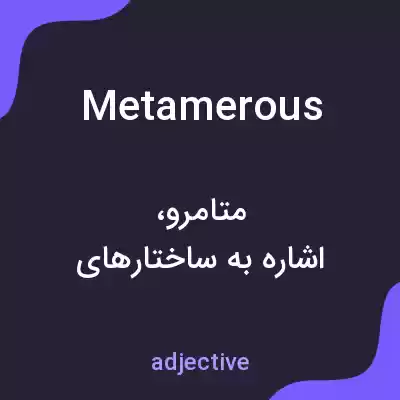 معنی metamerous به فارسی معنی metamerous به فارسی