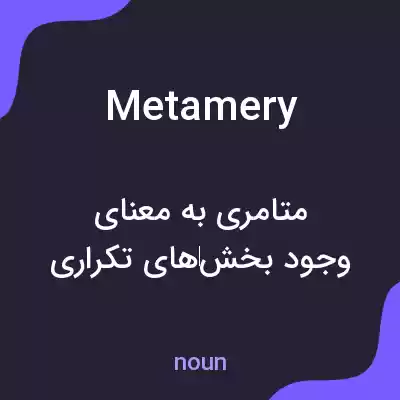 معنی metamery به فارسی معنی metamery به فارسی